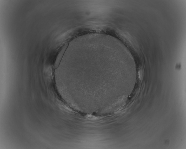 X0000090621347200707311235