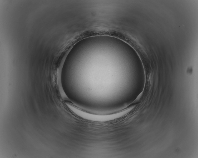 X0000090621348200707311235