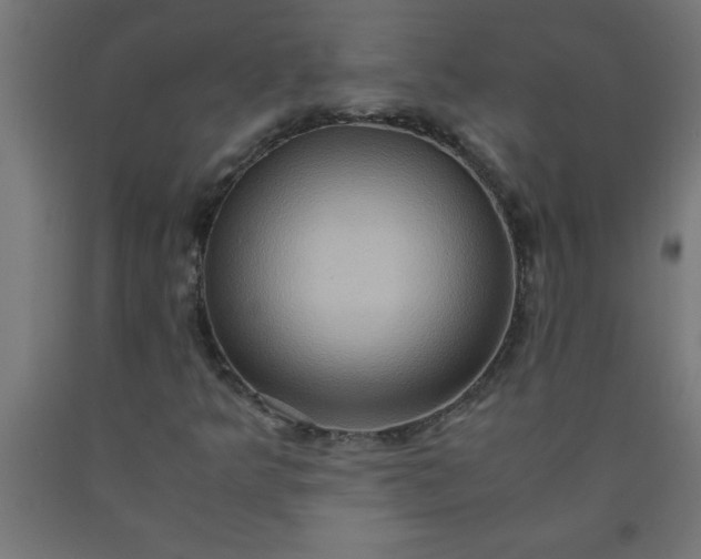 X0000090621349200707311235