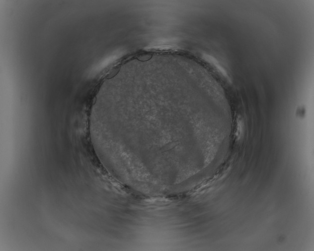 X0000090621350200707311235