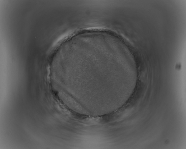 X0000090621351200707311235