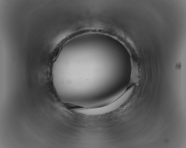 X0000090621352200707311235