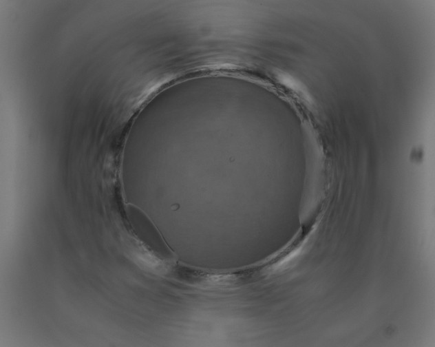 X0000090621353200707311235