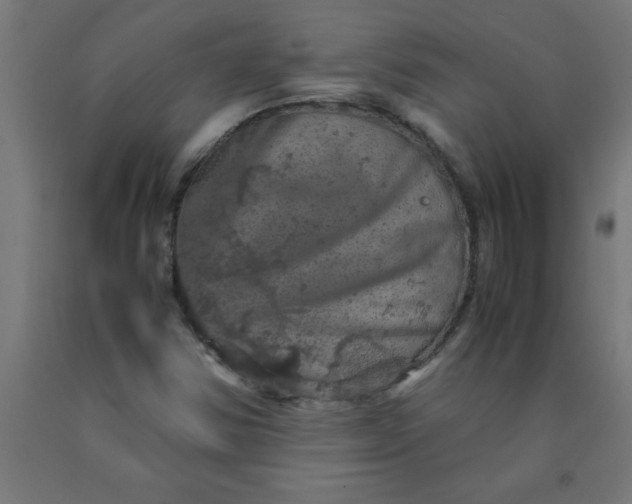 X0000090621354200707311235