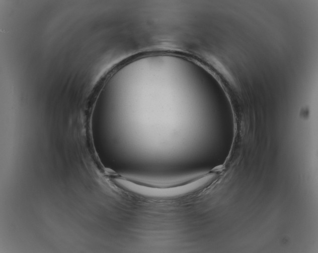 X0000090621356200707311235