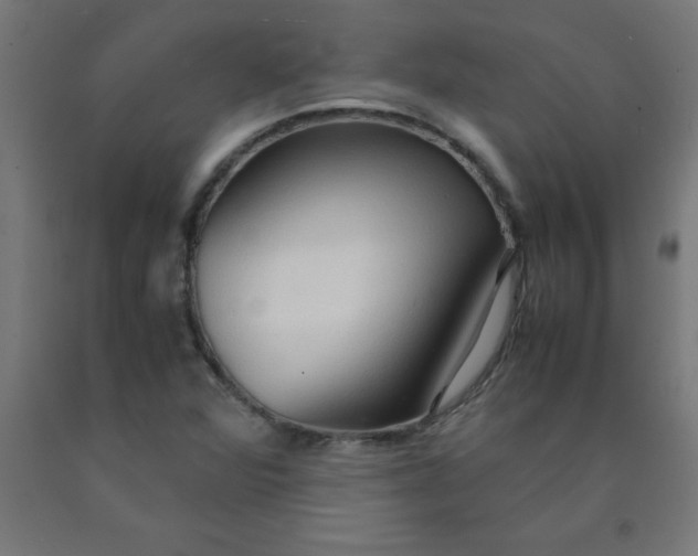 X0000090621360200707311235
