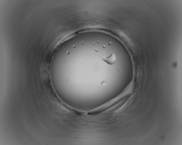 X0000090621361200707311235