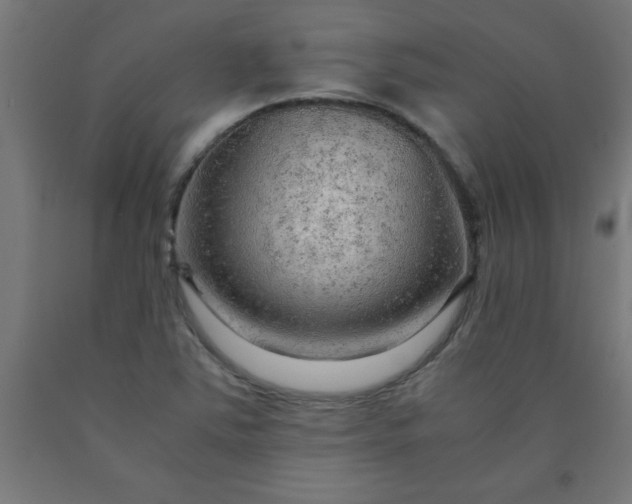 X0000090621363200707311235