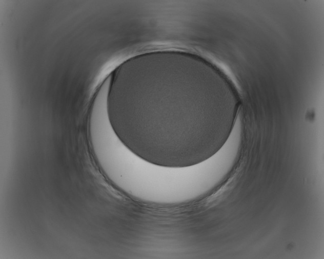 X0000090621365200707311235
