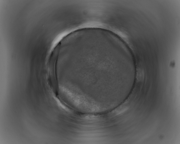 X0000090621366200707311235