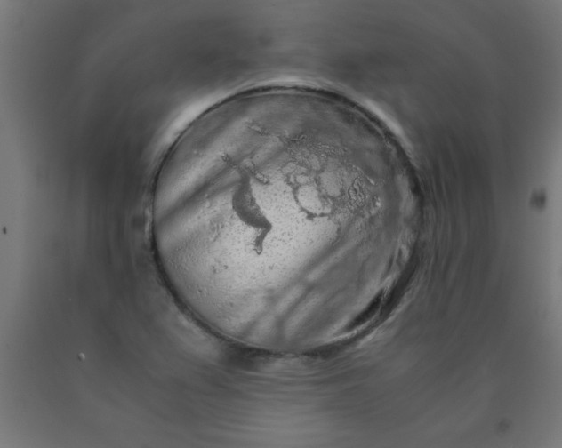 X0000090621367200707311235
