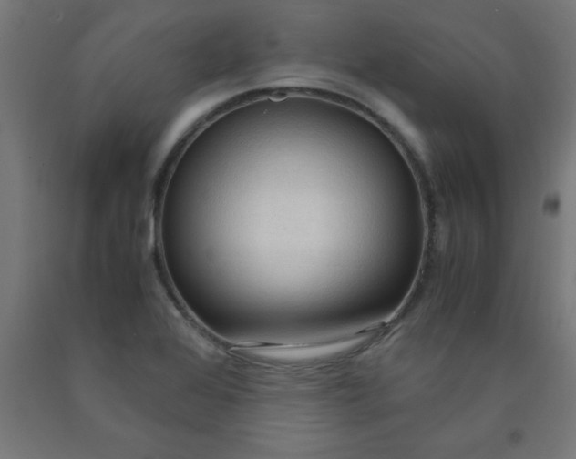 X0000090621368200707311235