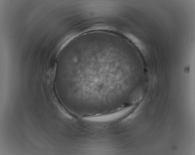 X0000090621369200707311235