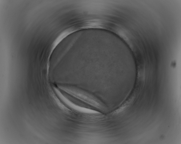 X0000090621370200707311235