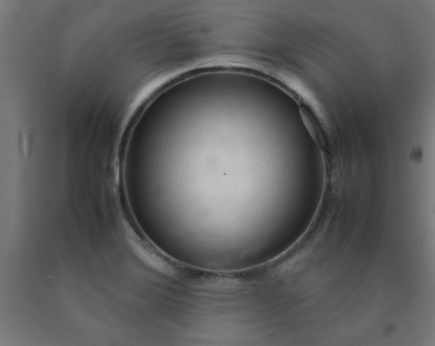 X0000090621372200707311235