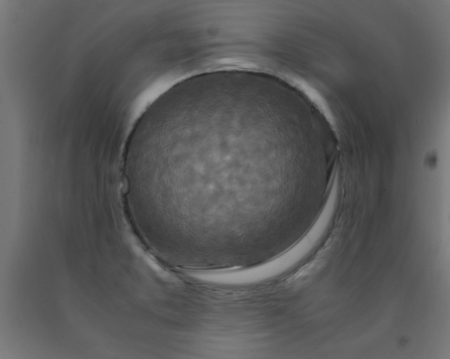 X0000090621373200707311235
