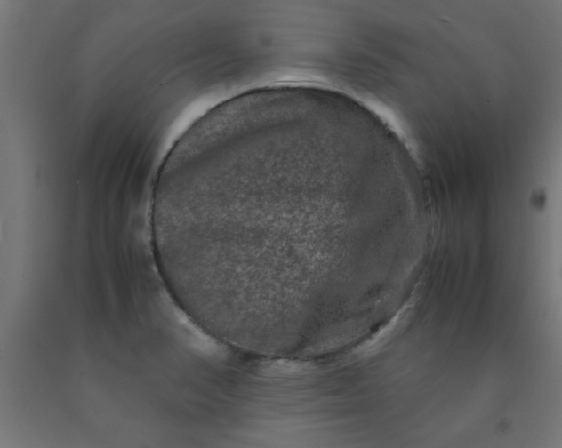 X0000090621374200707311235
