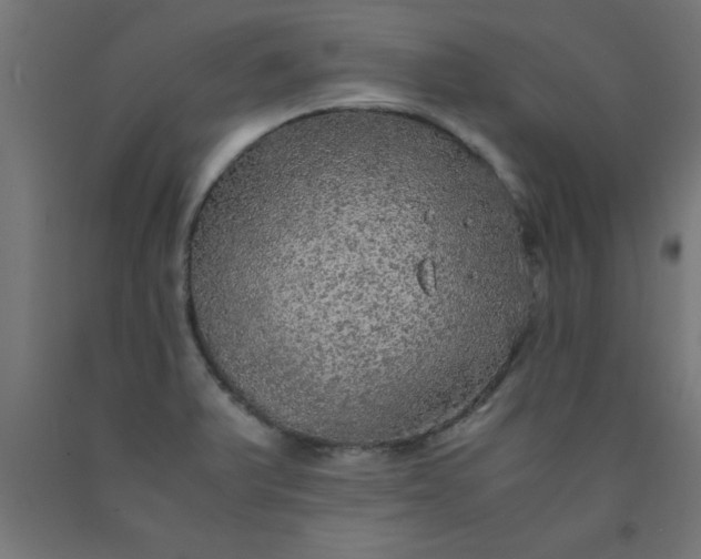 X0000090621375200707311235