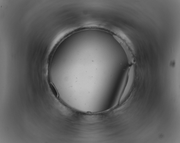 X0000090621376200707311235