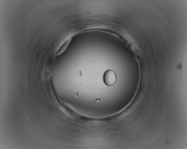 X0000090621377200707311235