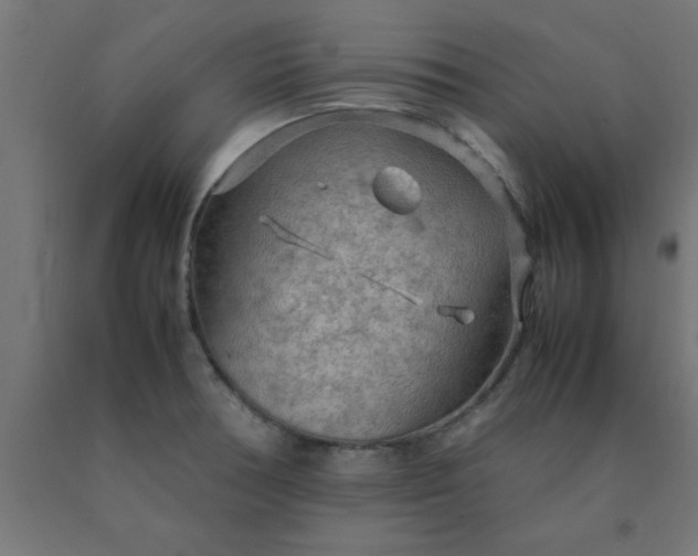 X0000090621378200707311235
