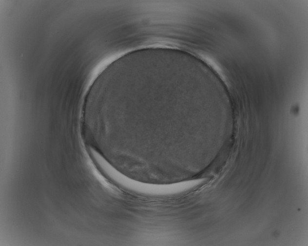 X0000090621379200707311235