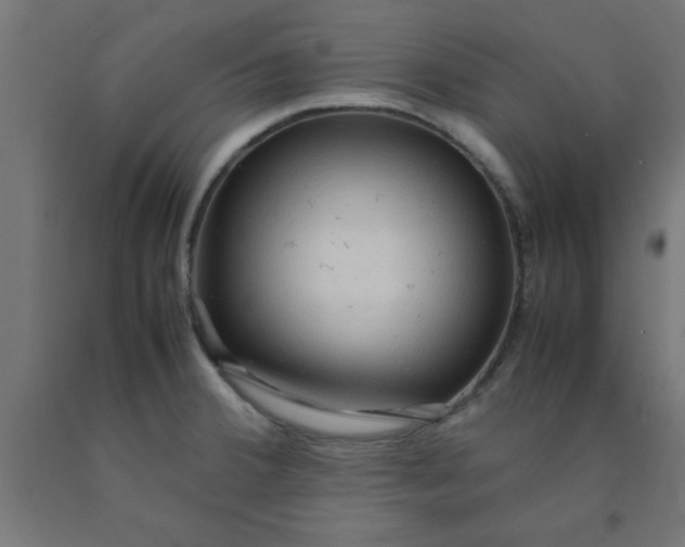 X0000090621380200707311235