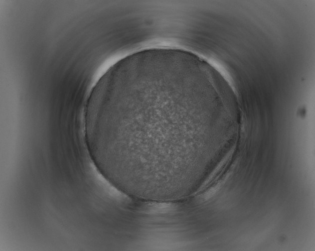 X0000090621382200707311235