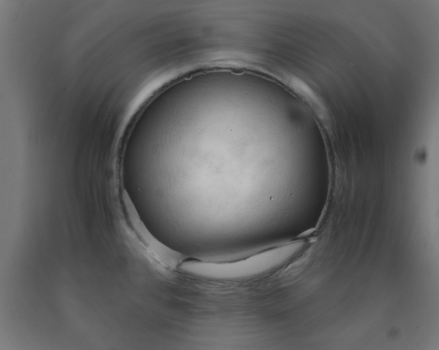 X0000090621384200707311235