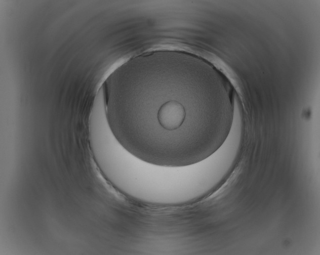 X0000090621385200707311235