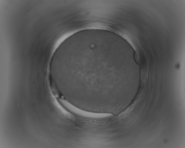 X0000090621387200707311234
