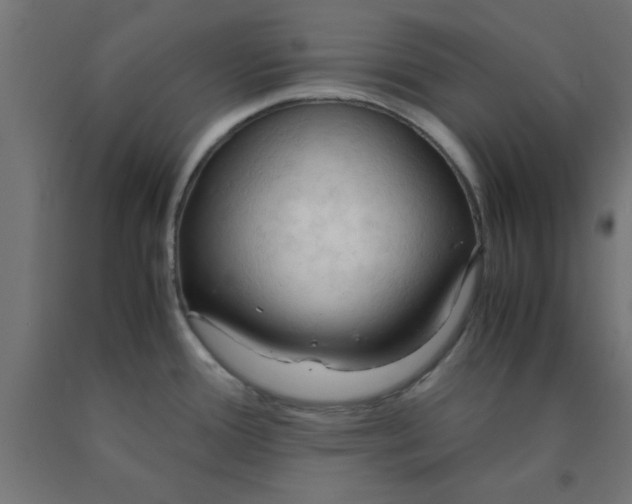 X0000090621388200707311234