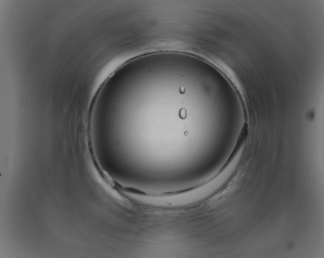 X0000090621389200707311234