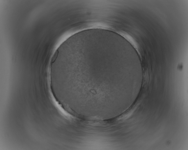 X0000090621391200707311234