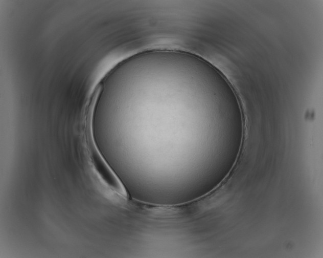 X0000090621392200707311234