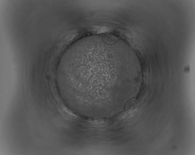 X0000090621393200707311234