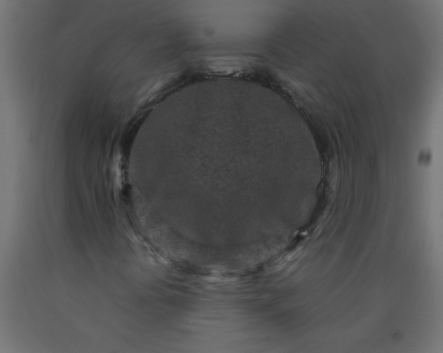X0000090621394200707311234