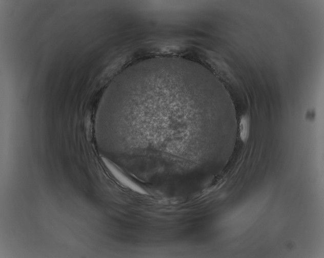 X0000090621395200707311234