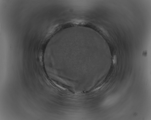 X0000090621396200707311234