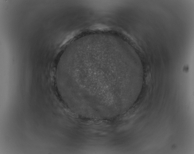 X0000090621397200707311234