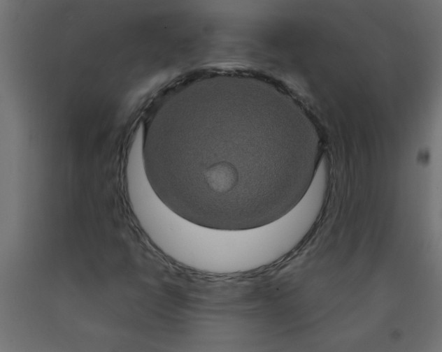 X0000090621398200707311234