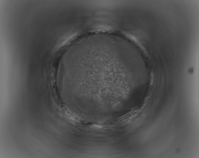X0000090621399200707311234