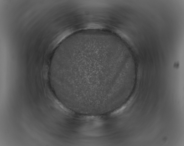 X0000090621401200707311234