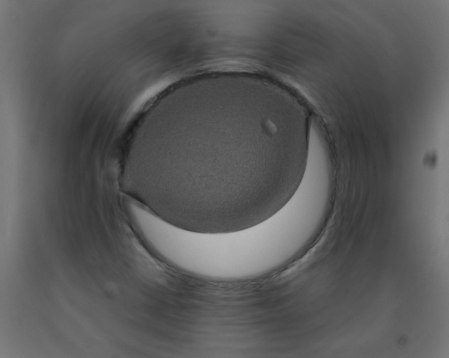 X0000090621402200707311234