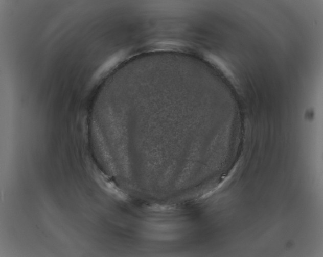 X0000090621403200707311234