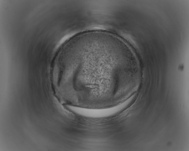 X0000090621404200707311234