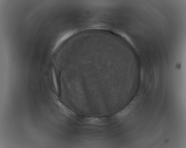 X0000090621405200707311234