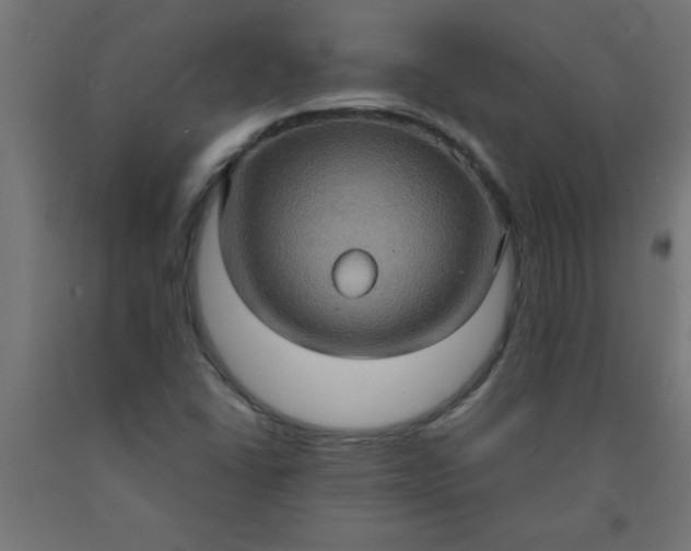 X0000090621406200707311234