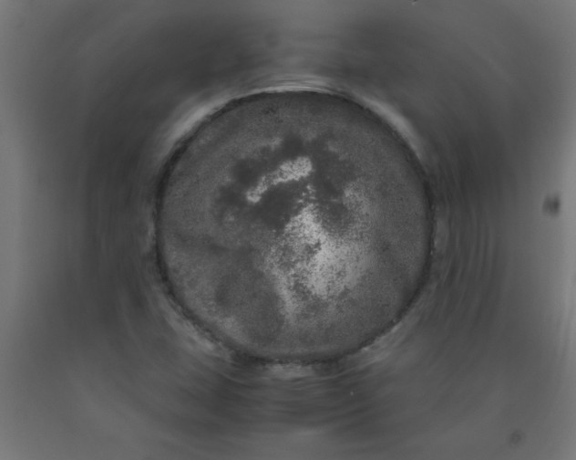 X0000090621407200707311234