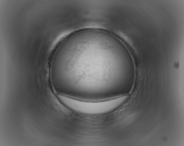 X0000090621408200707311234
